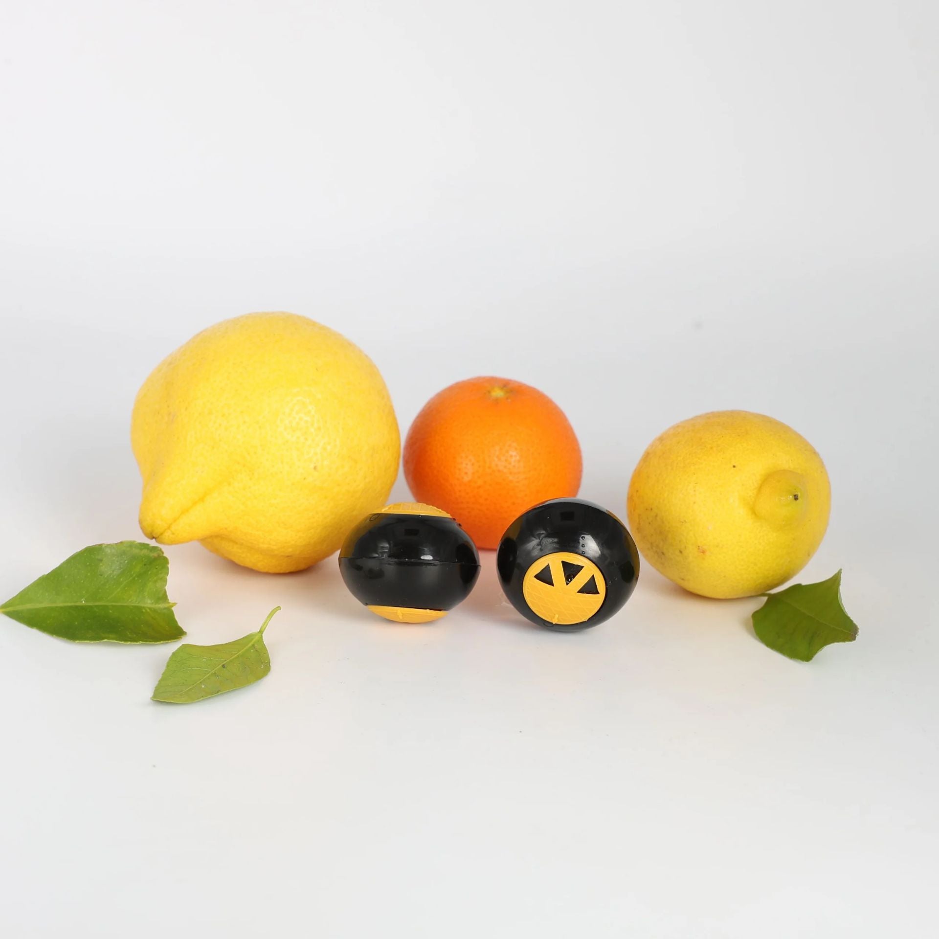 TRAINR Deodorizing Balls
